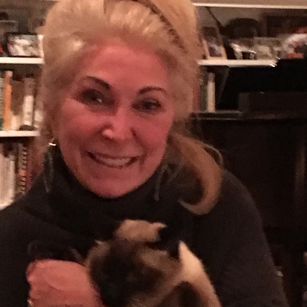 Meet your Posher, Lauren